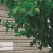 Сайдинг Ю-Пласт TIMBERBLOCK Пихта (Тимберблок) Cахалинская купить в Азове