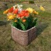 Цветник КАНЬОН купить в Азове