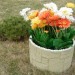 Цветник КАНЬОН купить в Азове